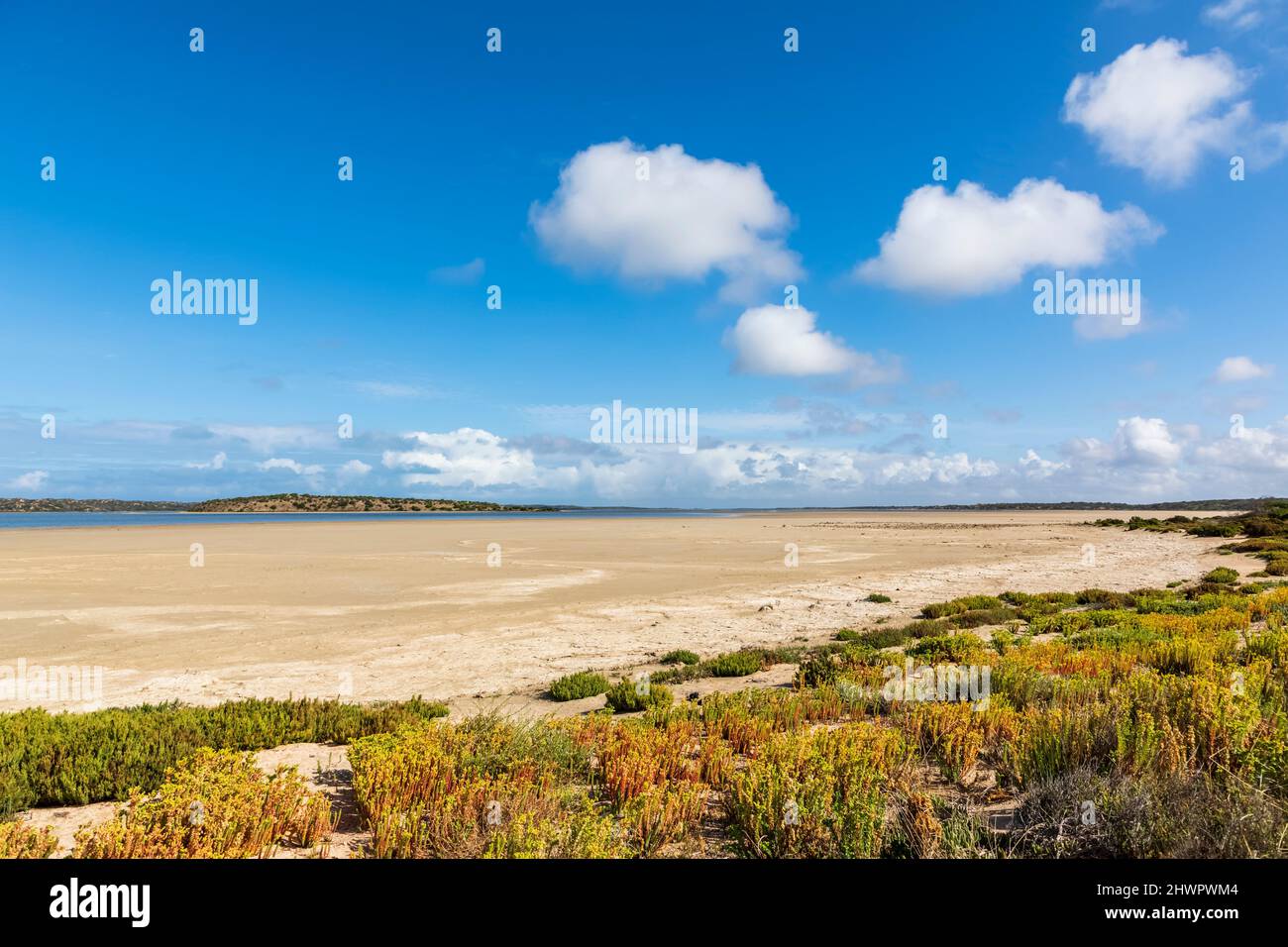 Australia, South Australia, Parnka Point Beach nel Coorong National Park Foto Stock