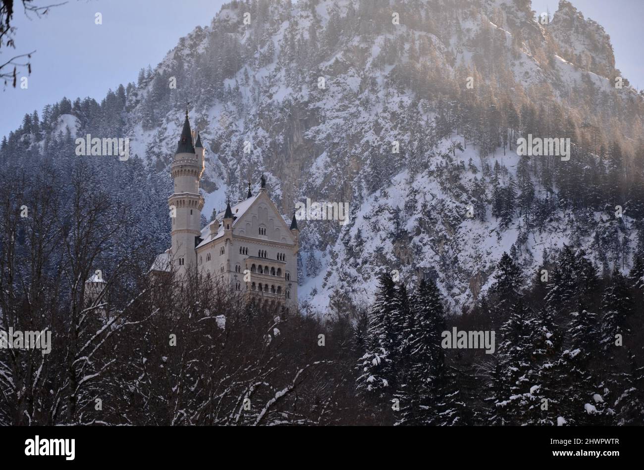 GERMANIA, Baviera, Schwangau, Hohenschwangau, Neuschwanstein e dintorni sotto la neve Foto Stock