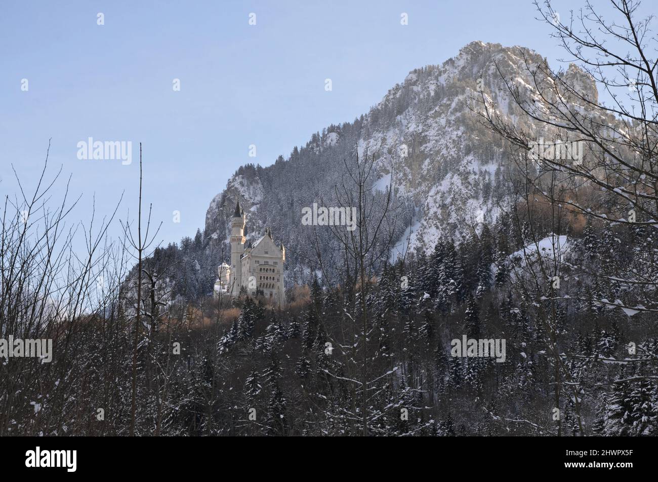 GERMANIA, Baviera, Schwangau, Hohenschwangau, Neuschwanstein e dintorni sotto la neve Foto Stock