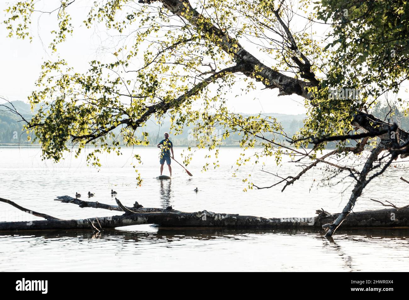 Pedalò a bordo del lago Staffelsee a Murnau, Baviera, Germania Foto Stock