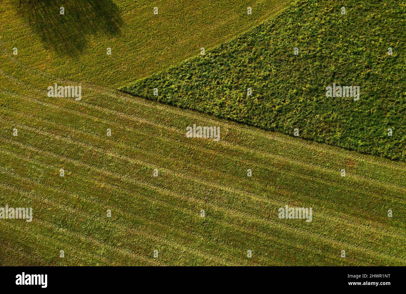 Vista drone del campo rasato verde Foto Stock