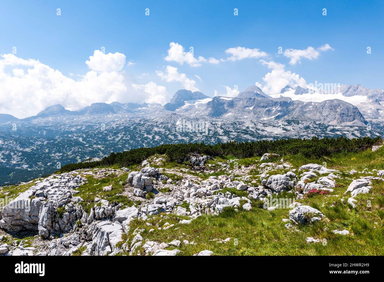 Cima rocciosa del monte Krippenstein in estate Foto Stock