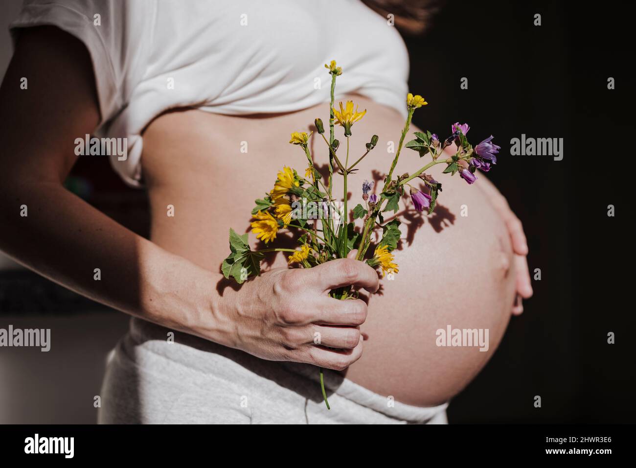 Donna incinta che tiene il fiore che tocca l'addome su sfondo nero Foto Stock