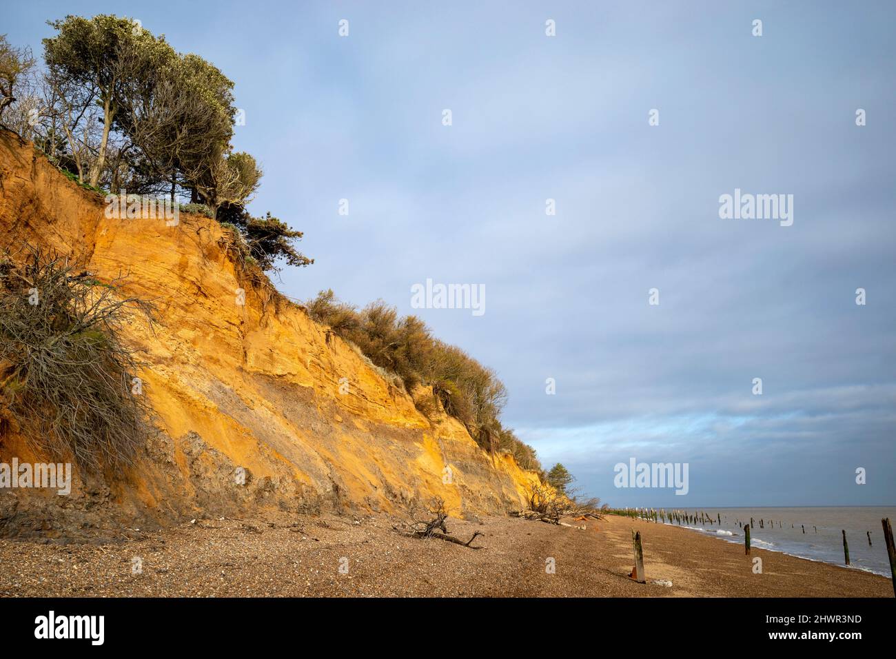 Effetti di erosione costiera Bawdsey Ferry Suffolk REGNO UNITO Foto Stock