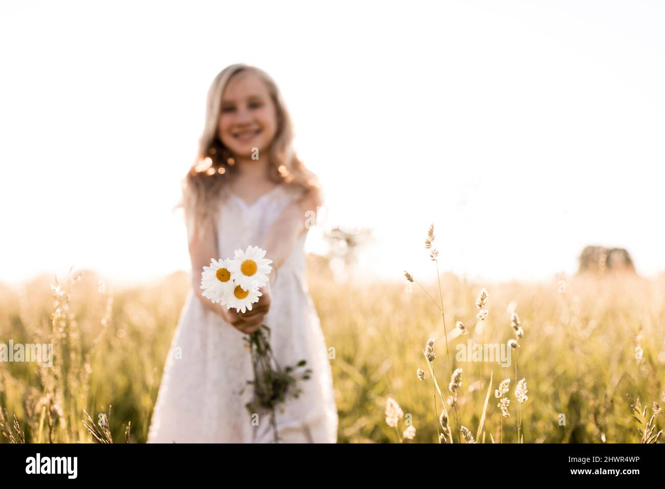 Ragazza che tiene margherita bianco in campo Foto Stock