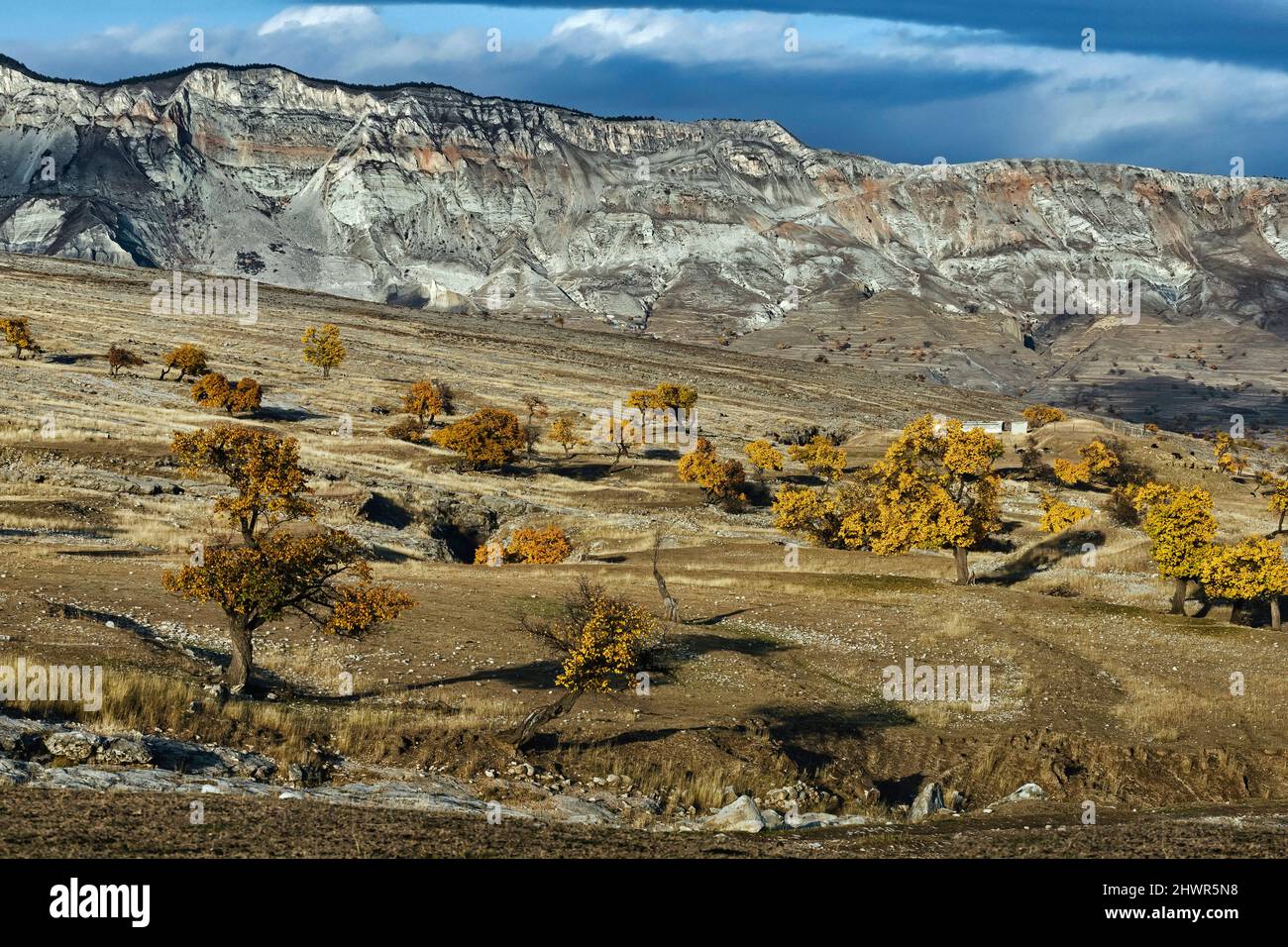 Paesaggio montuoso marrone del Caucaso settentrionale in autunno Foto Stock
