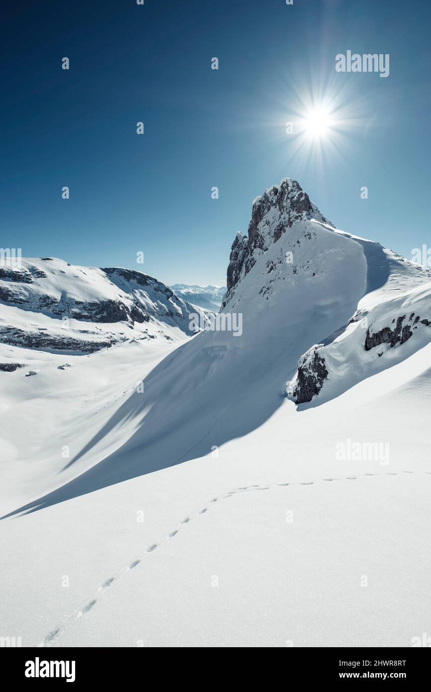 Il sole splende sulle piste degli animali nelle montagne innevate di Rofan Foto Stock
