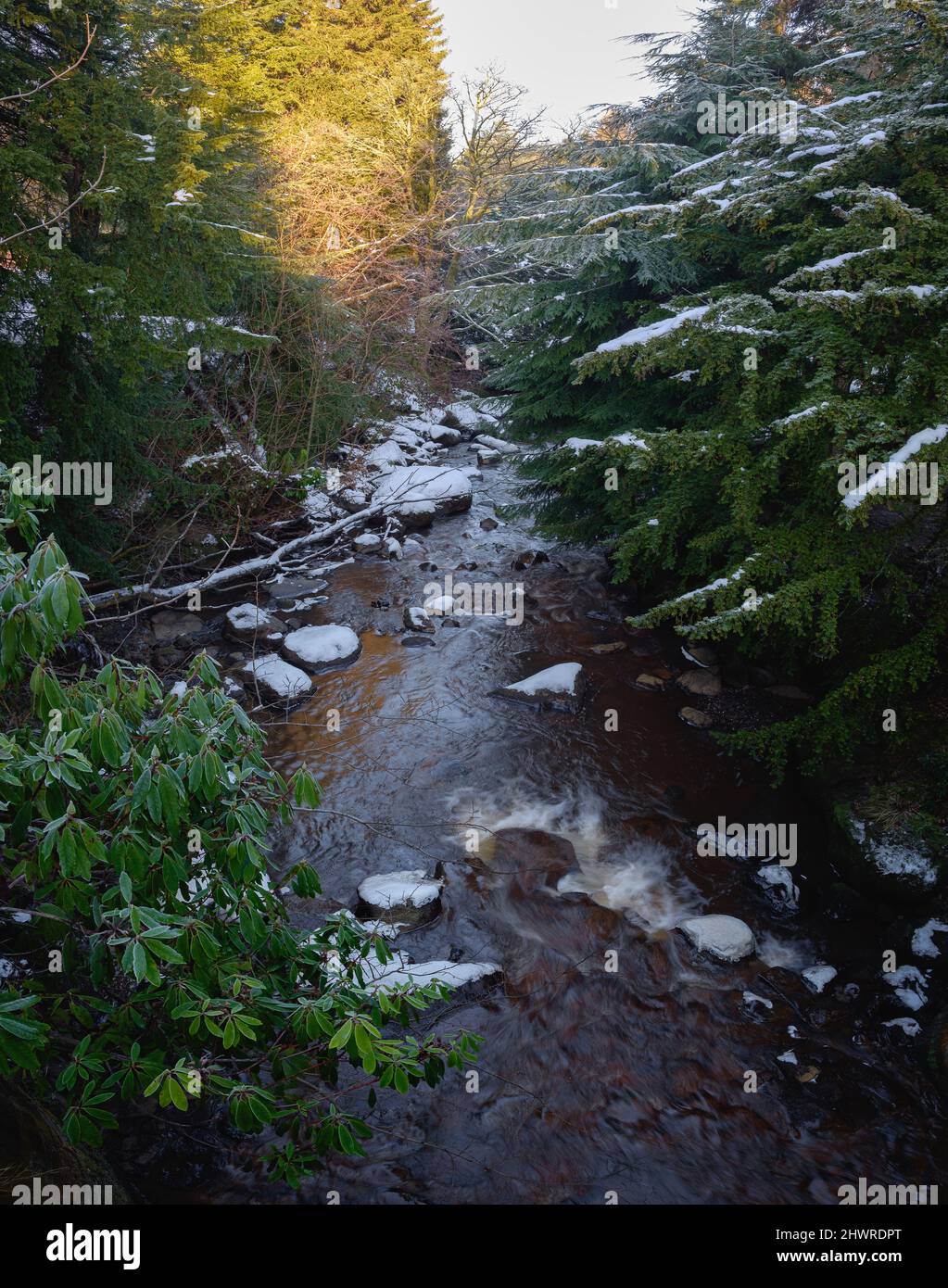 Un fiume d'inverno scorre tra alberi verdi in un parco pubblico. Polkemmet Country Park, Scozia, Regno Unito Foto Stock