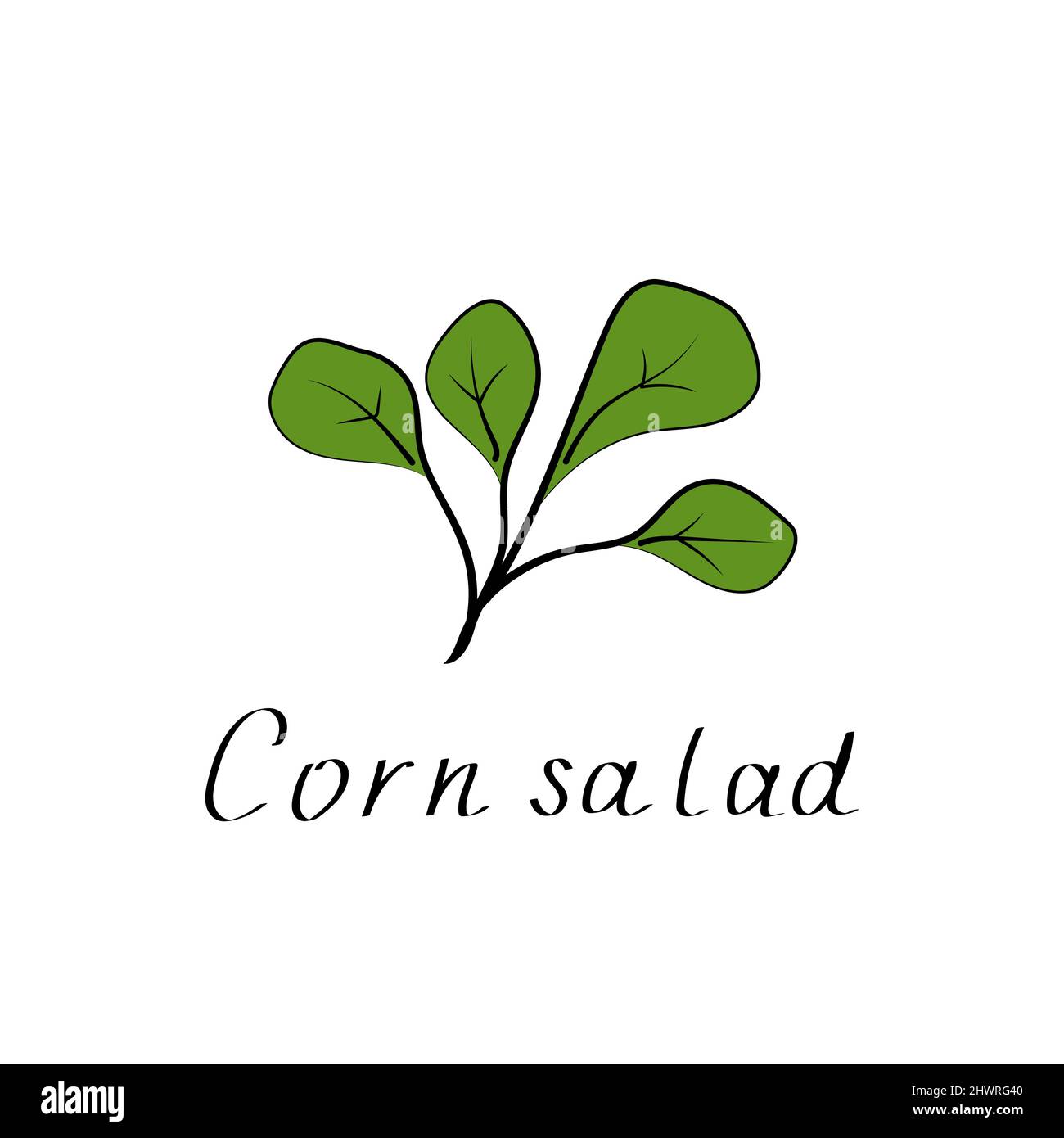 Cartello con la foglia di insalata di mais. Icona Cartoon vegetale. Cibo vegetariano sano, agricoltura biologica e disegno ricetta insalata Illustrazione Vettoriale
