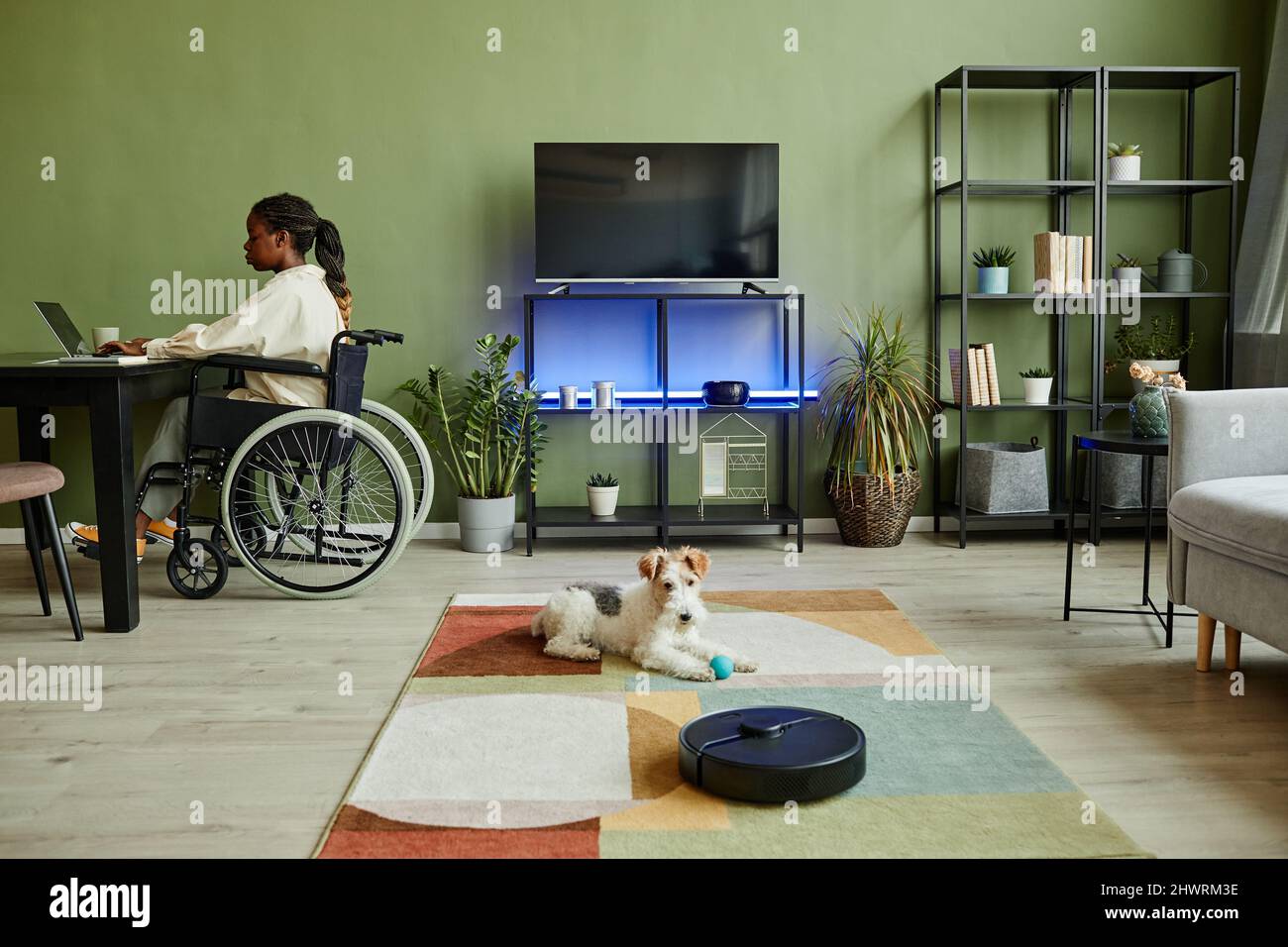 Vista grandangolare della giovane afroamericana su sedia a rotelle mentre si lavora in un moderno ufficio domestico con dispositivi intelligenti accessibili e cani per animali domestici Foto Stock