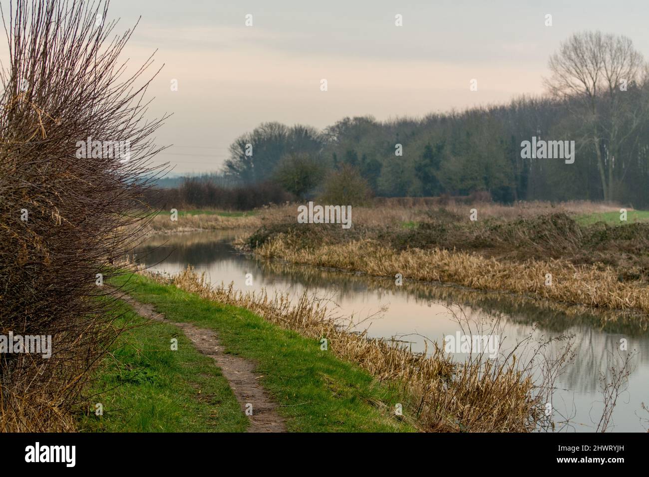 Chesterfield Canal Foto Stock