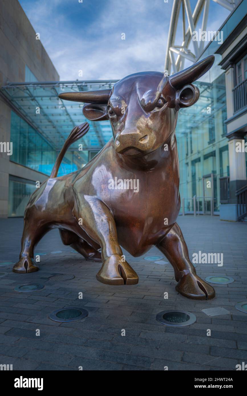 L'iconico toro di Birmingham di Laurence Broderick. Foto Stock