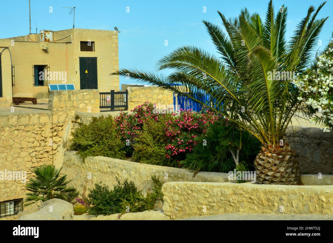 Alicante, Spagna - Luglio 17 2019: Alcuni edifici del castello dietro le palme verdi dal Castillo de Santa Bárbara ad Alicante sotto il cielo blu soleggiato. Valenci Foto Stock