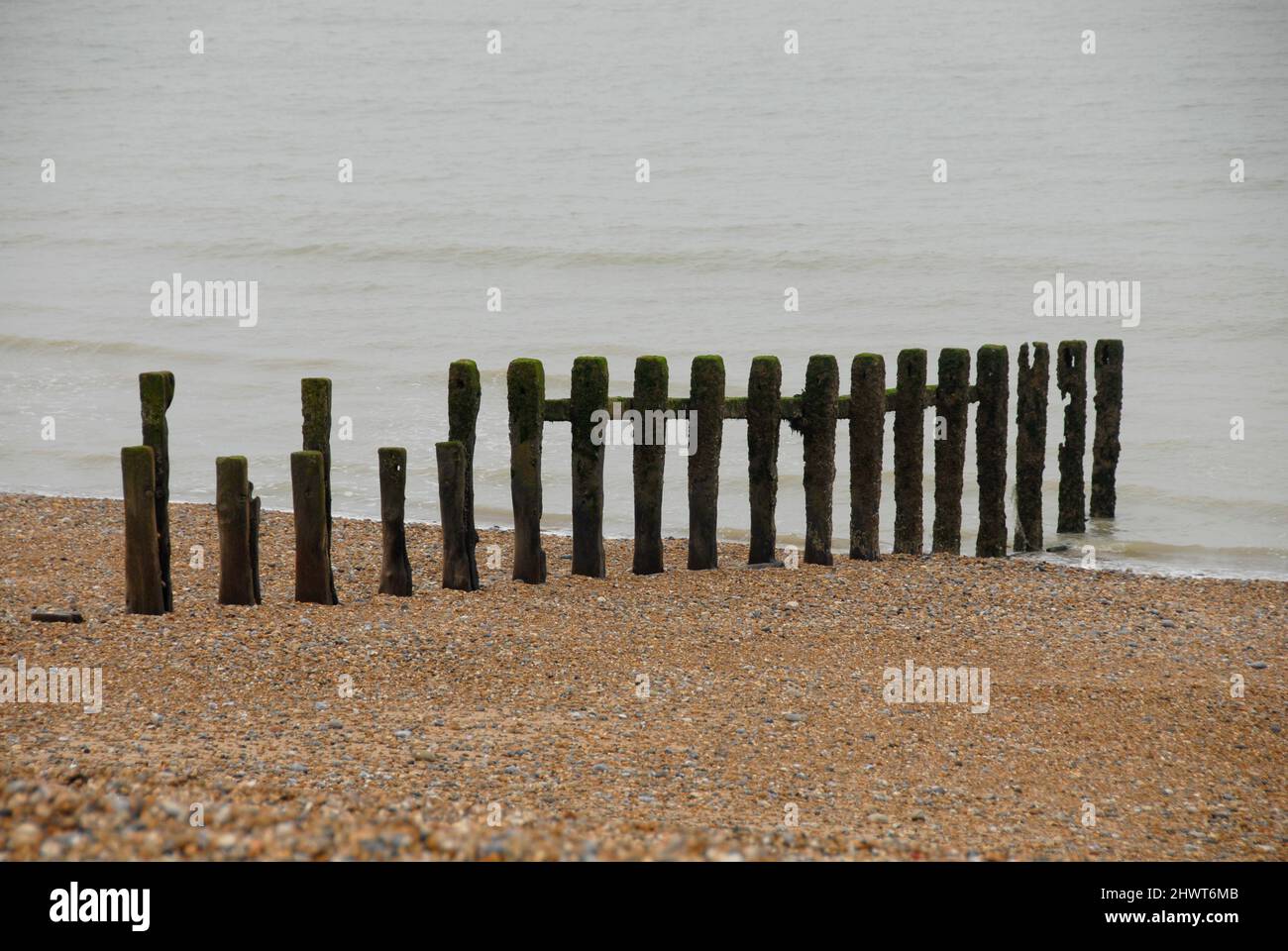 Resti di un frangiflutti sulla costa nel Sussex orientale, Inghilterra Foto Stock