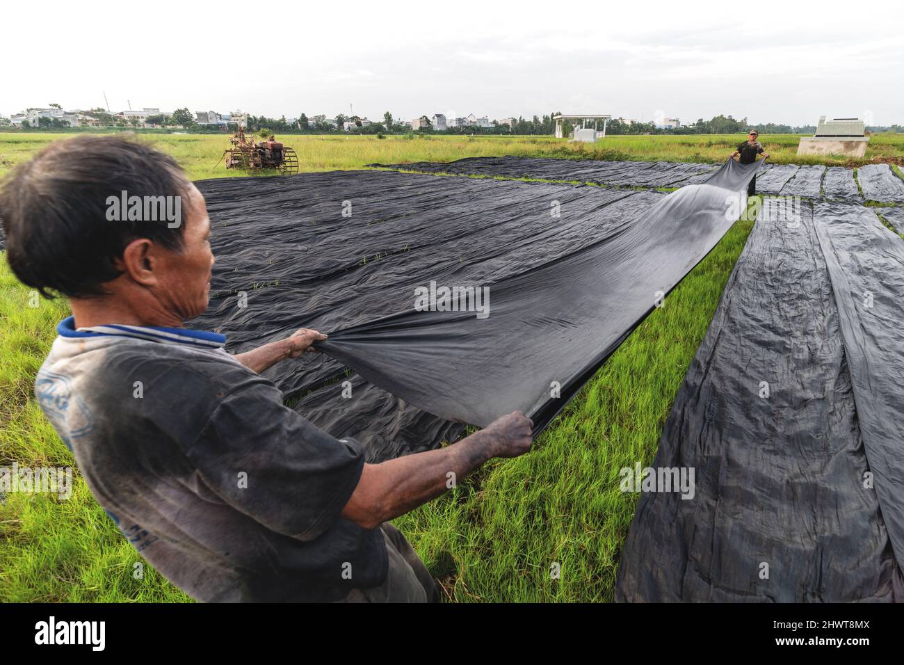 Lavoratore vietnamita Dye il tessuto in processo tradizionale in Vietnam Foto Stock