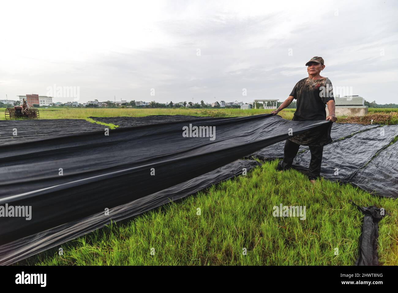 Lavoratore vietnamita Dye il tessuto in processo tradizionale in Vietnam Foto Stock