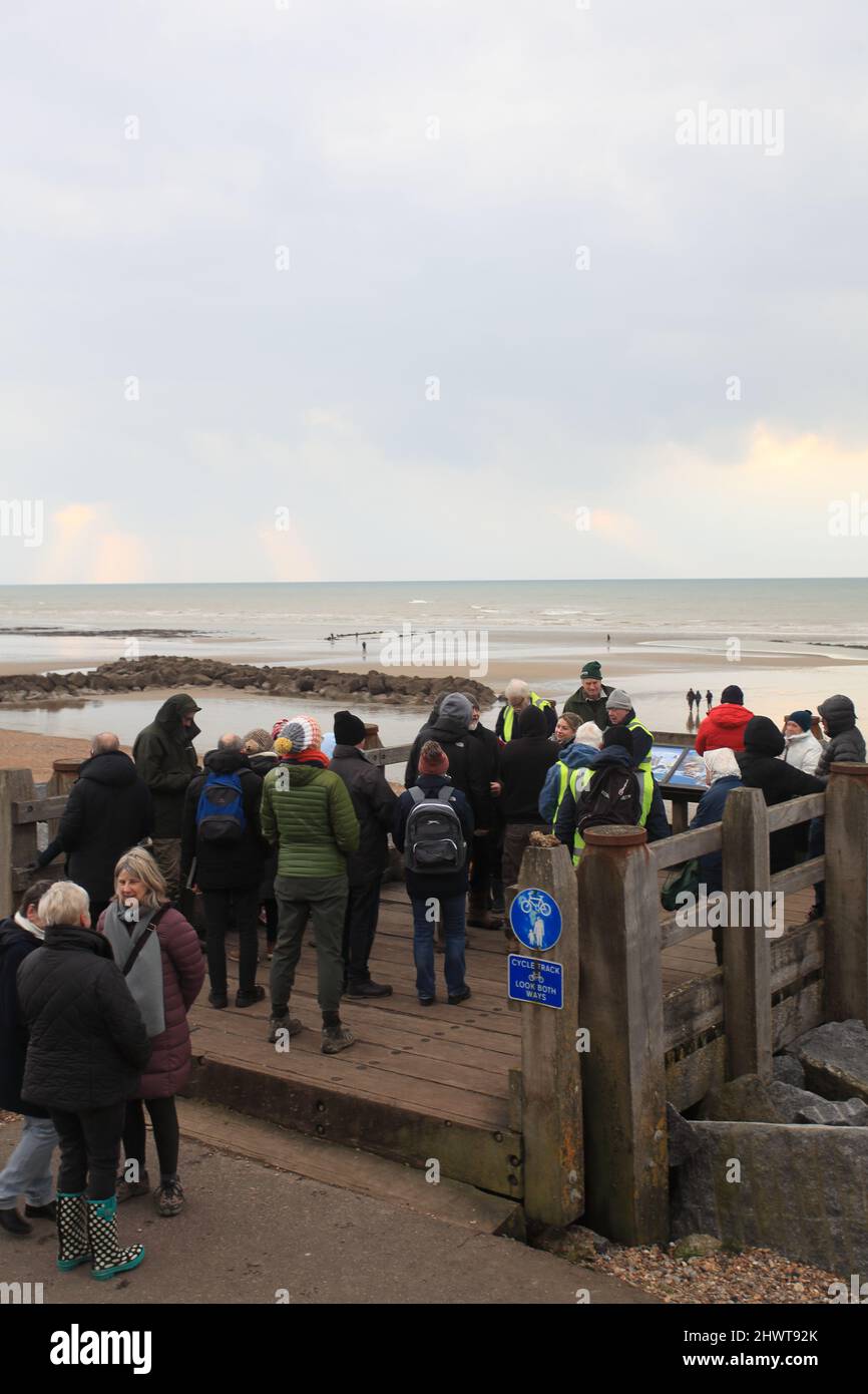 Gruppo di persone locali e visitatori in un tour guidato della spiaggia di Bulverhythe esplorando il relitto di Amsterdam e l'antica foresta, Hastings, East Sussex, Regno Unito Foto Stock