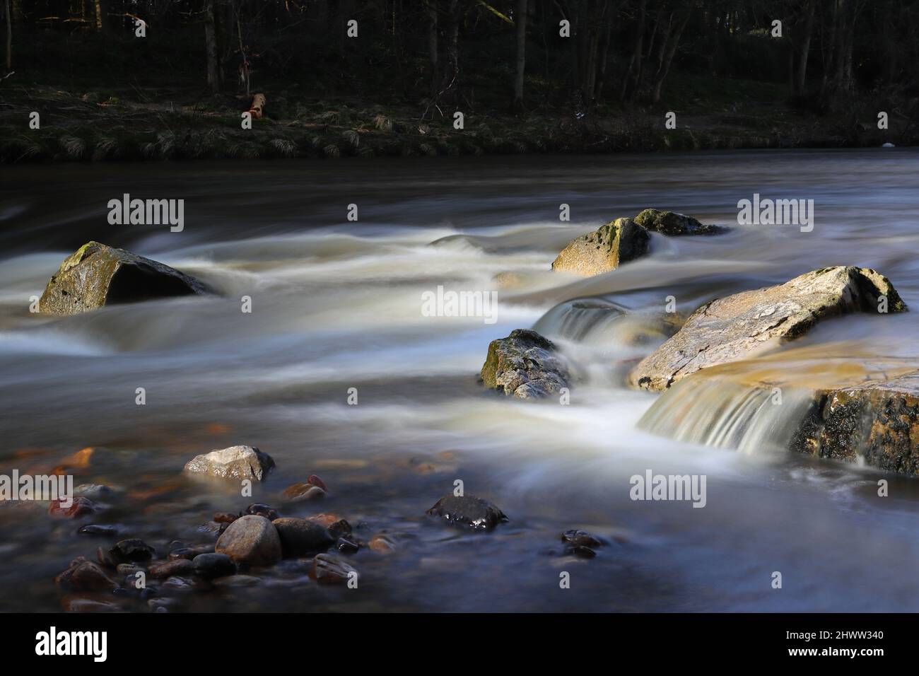 Primo piano di River Rapids che mostra movimento acqua sfocata. River Wear, Witton le Wear, County Durham, Inghilterra, Regno Unito. Foto Stock