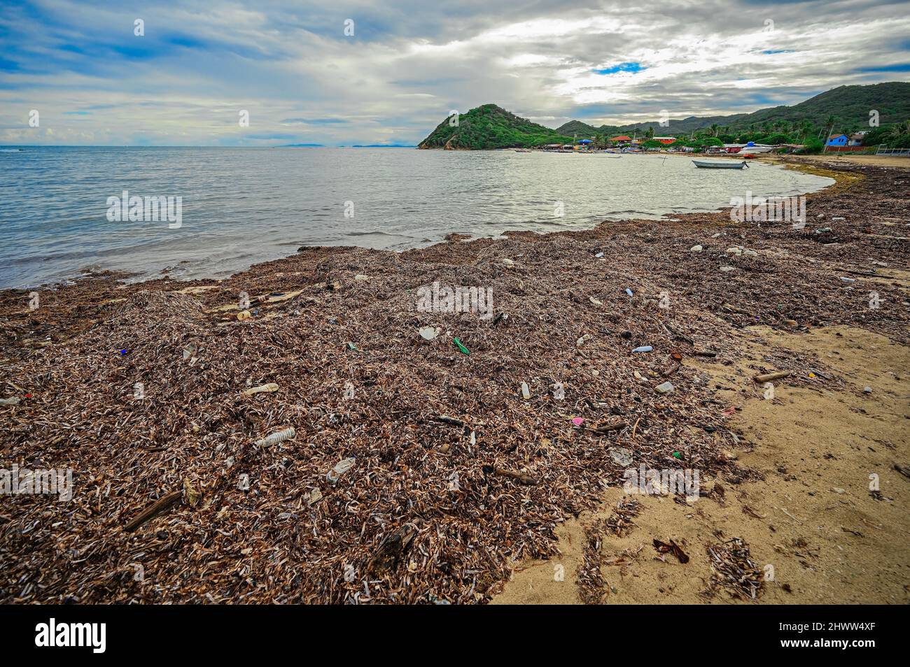 Immondizia e alghe sulla spiaggia della Repubblica Dominicana. Oceano Atlantico costa coperto alghe. Inquinamento della baia dei caraibi. Costo sporco sull'oceano. Foto Stock
