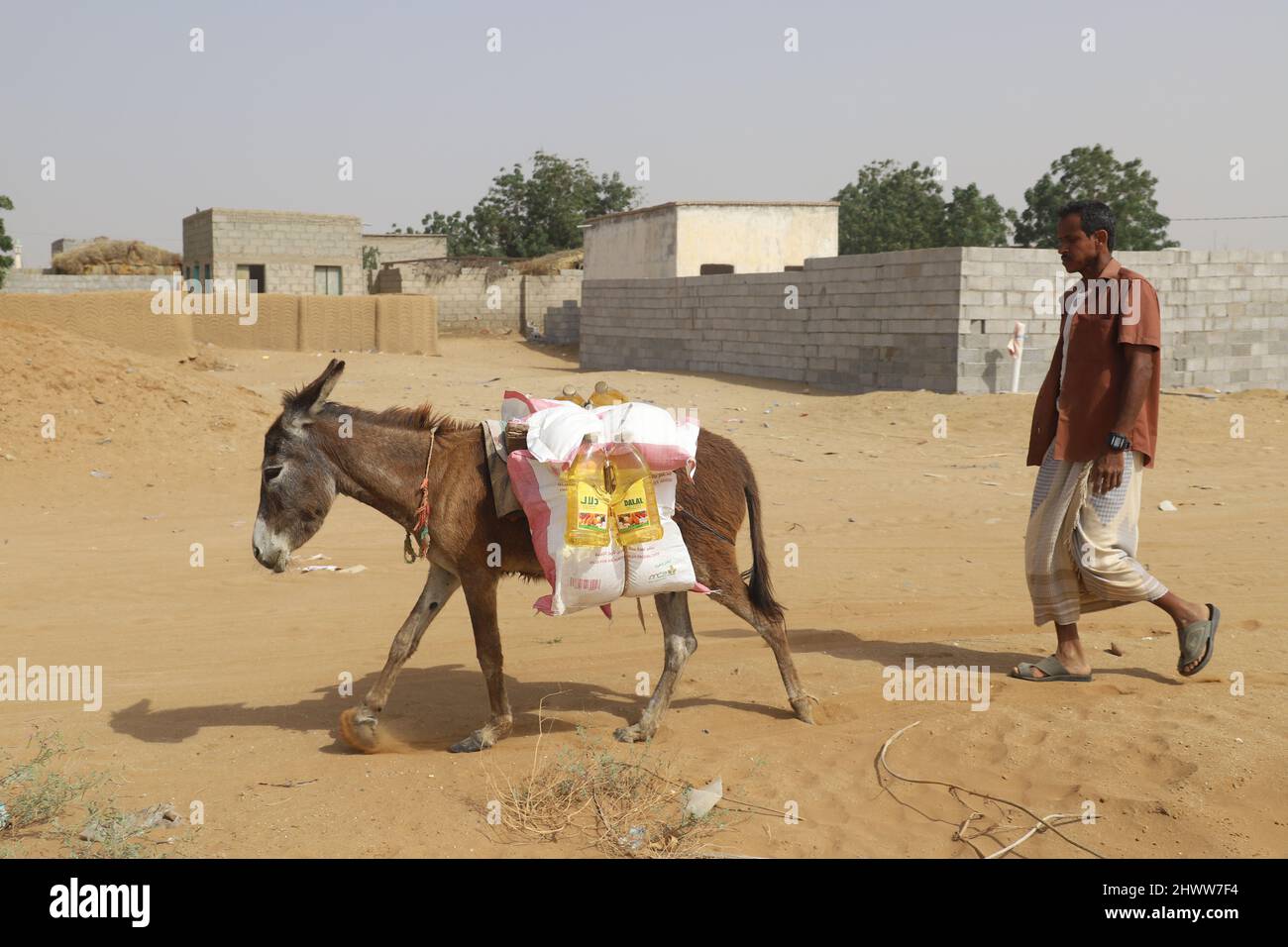 Midi, Yemen. 7th Mar 2022. Un uomo cammina dietro un asino, che porta la razione di cibo che ha ricevuto da una carità, nel distretto Midi, nella provincia di Hajjah, Yemen, il 7 marzo, 2022. Quasi 21 milioni di persone nello Yemen dilaniato dalla guerra, o quasi il 70% della popolazione totale, hanno bisogno di assistenza umanitaria salvavita, ha detto il Fondo per i Bambini delle Nazioni Unite in un post su Twitter lunedì. "Questo include 11,3 milioni di bambini o quasi il 80% dei bambini", ha osservato l'UNICEF. Credit: Nyooooooooooooooooooooooooooooo Foto Stock