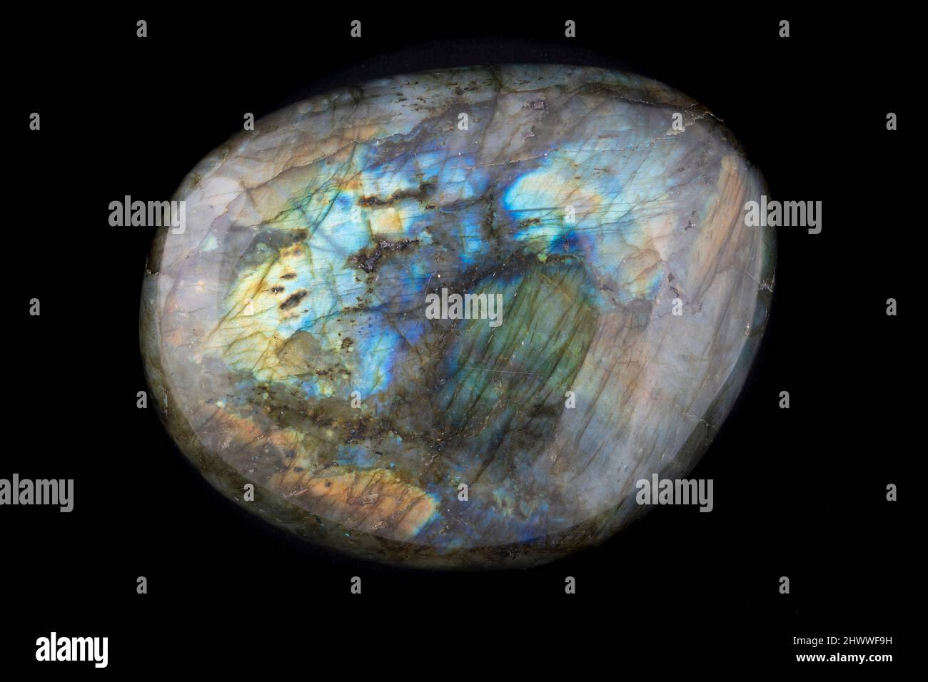 Esemplare di Labradorite, un tipo di minerale di feldspare, Canada, di Dominique Braud/Dembinsky Photo Assoc Foto Stock