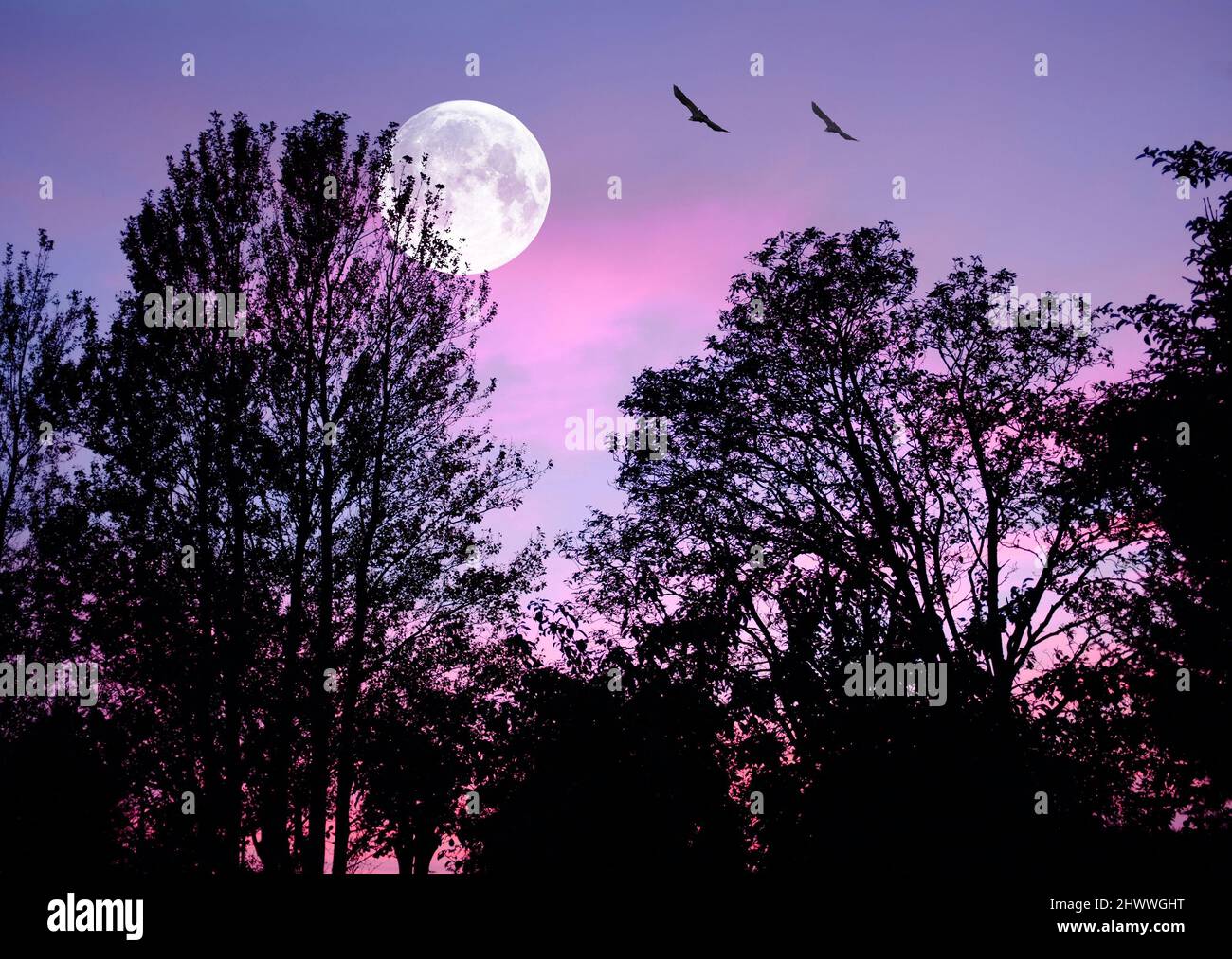 Sopra la luna. Una foto della luna dopo il tramonto. Foto Stock