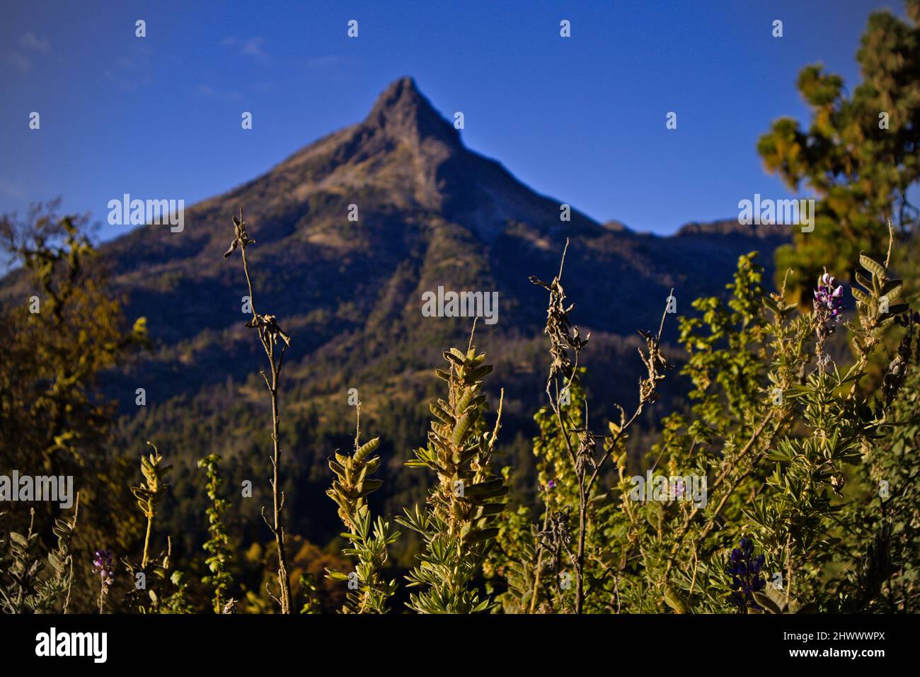 Vulcano attivo Ciudad Guzman Foto Stock