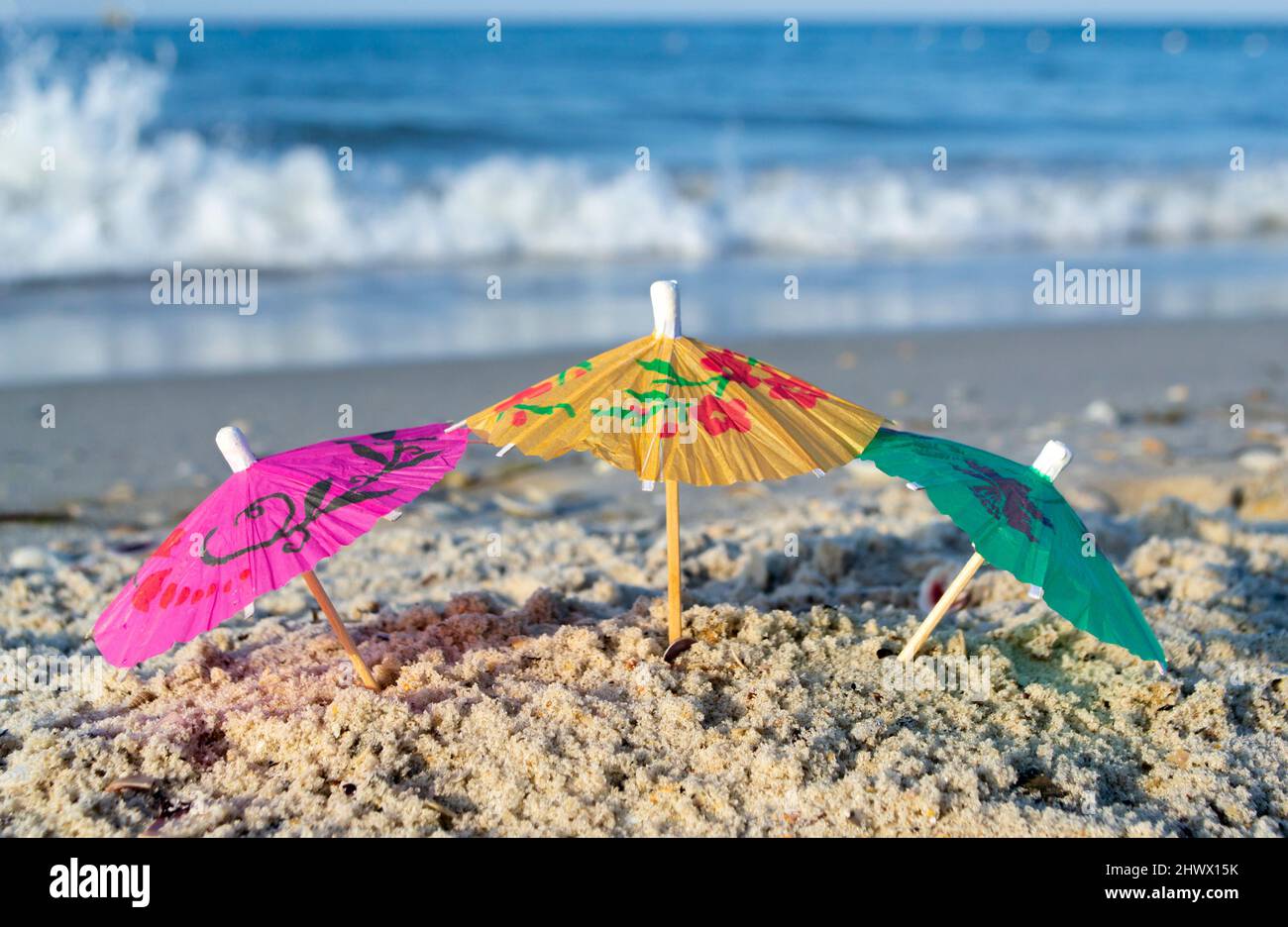 Tre piccoli ombrelloni da cocktail di carta si trovano in sabbia su una spiaggia sabbiosa da vicino. Foto Stock