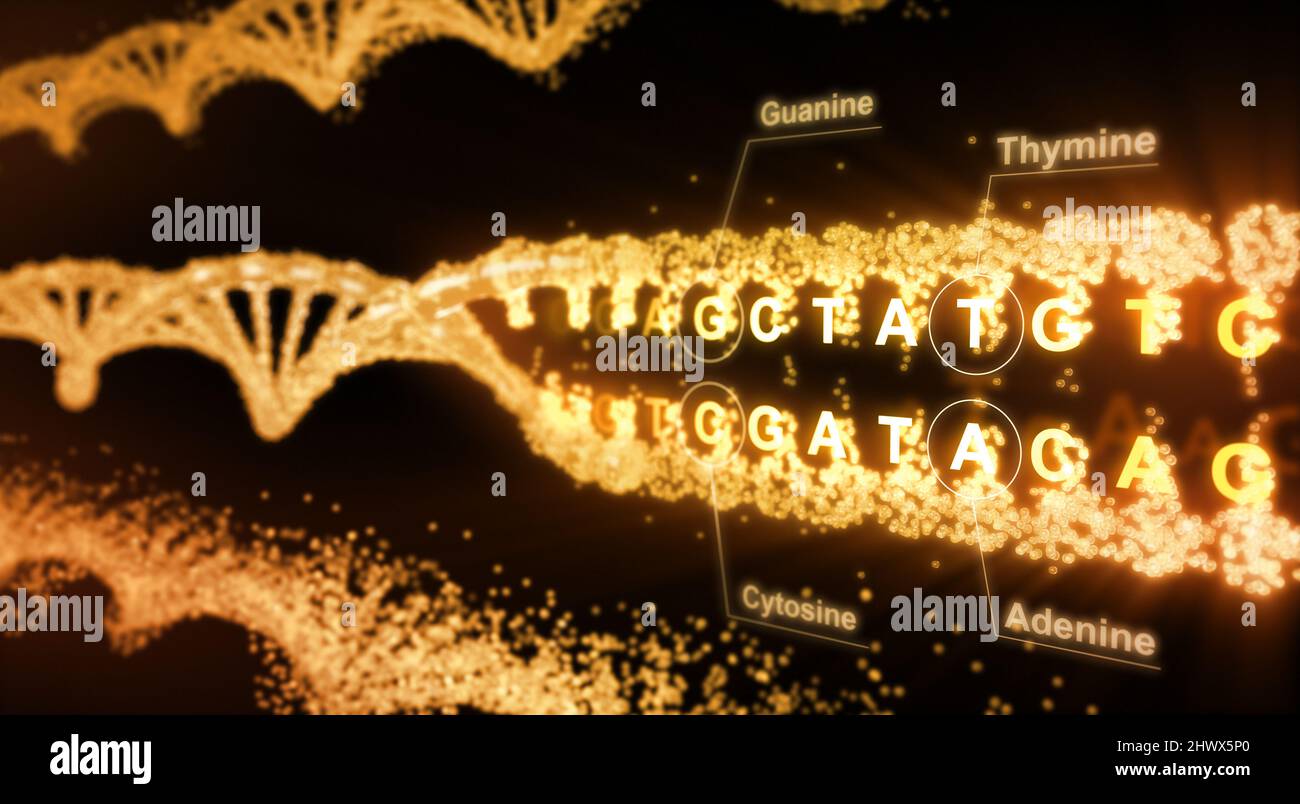 DNA astratto - rendering 3D Foto Stock