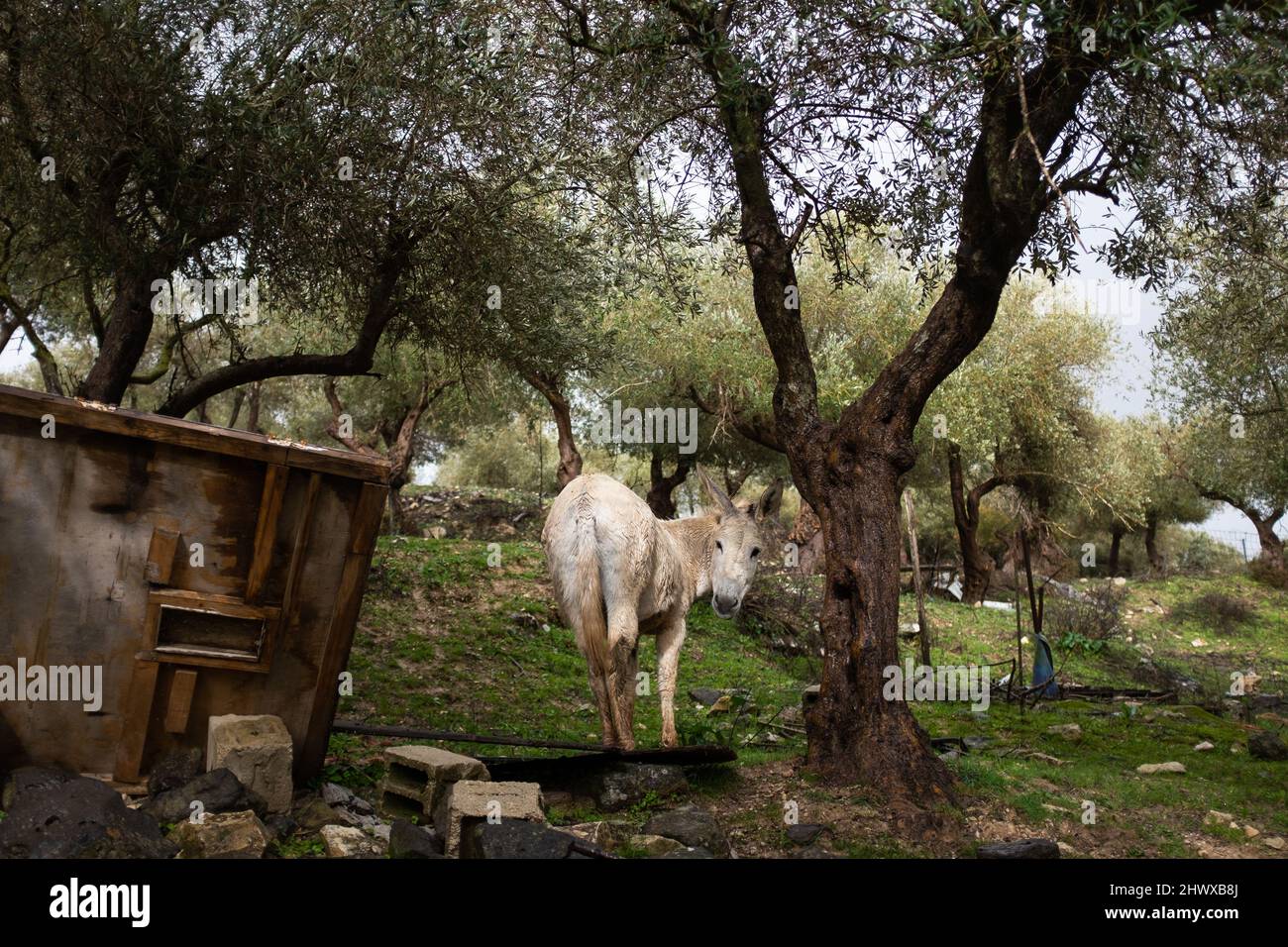 Paesaggio naturale in villaggio ecologico Foto Stock