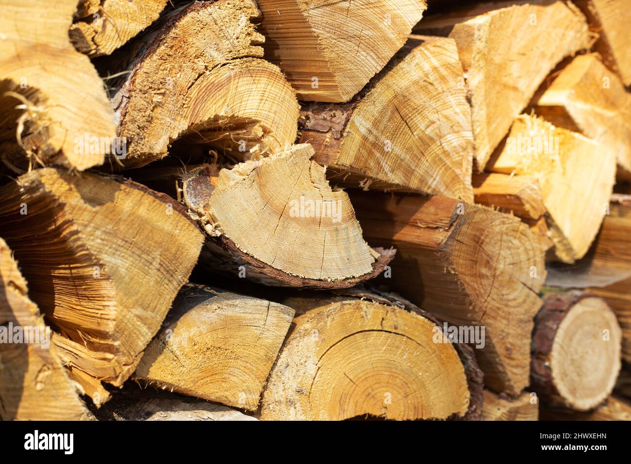 Primo piano di deposito legno tritato, legna da ardere per riscaldamento domestico Foto Stock