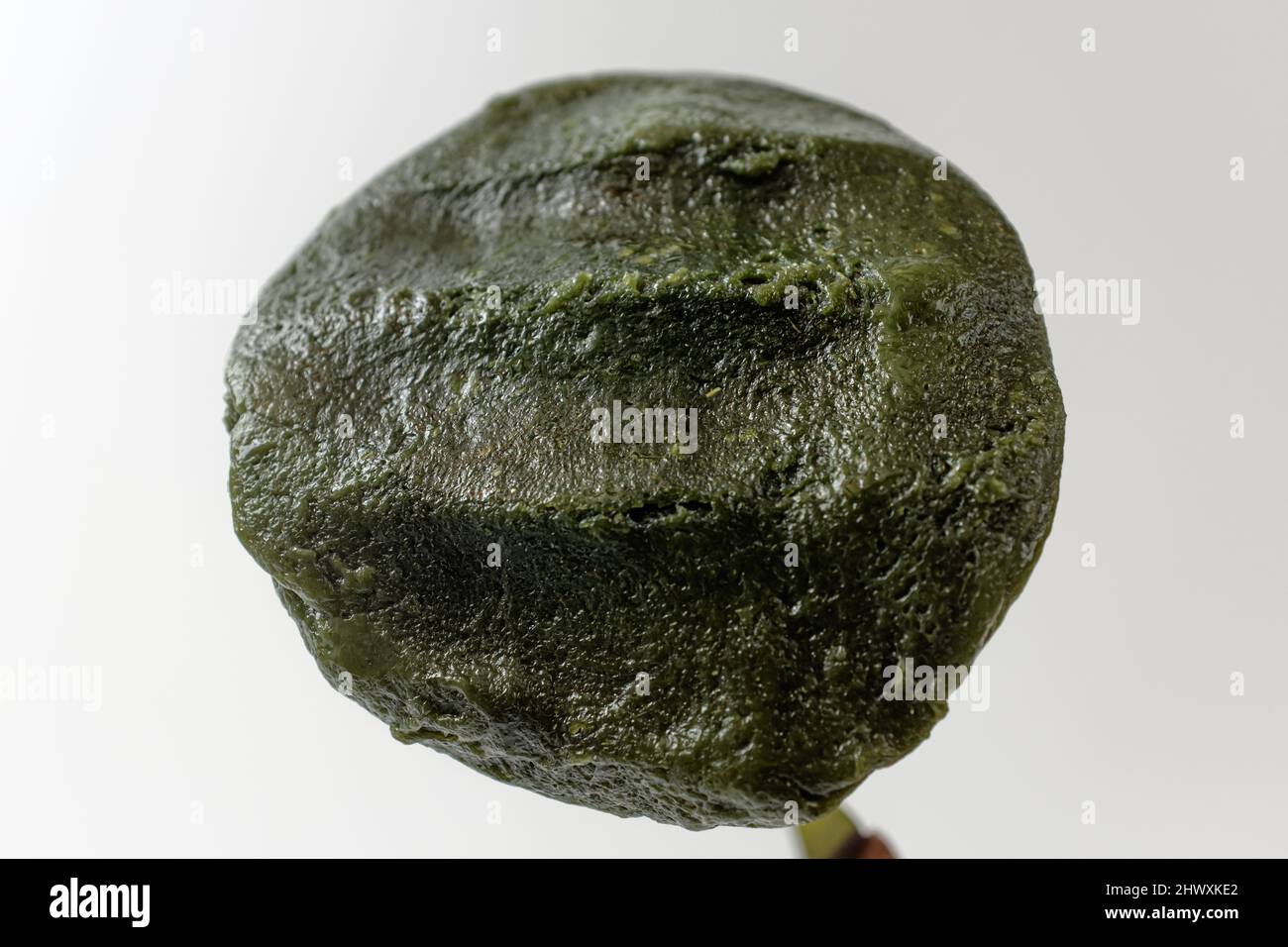 mugwort mochi su sfondo bianco Foto Stock