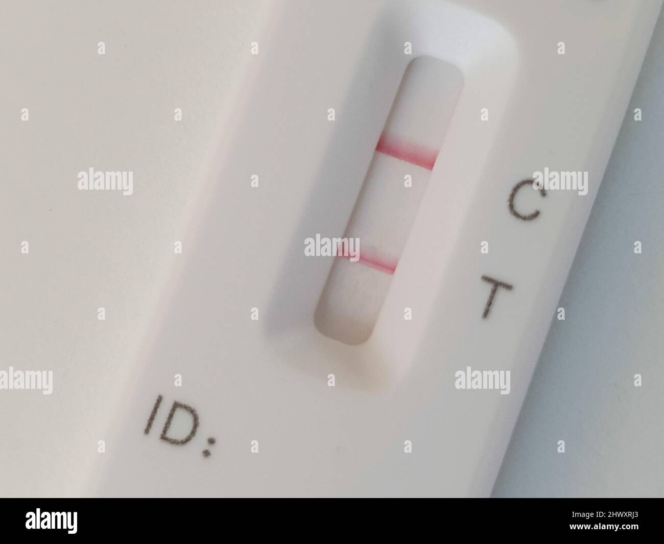 Londra, UK, 8 marzo 2022: Un risultato positivo sul test Flow Flex Lateral Flow. Il governo ha posto fine a quasi tutte le restrizioni al coronavirus due settimane fa e negli ultimi 7 giorni sono stati registrati oltre 300.000 nuovi casi, con un aumento di oltre il 28% rispetto alla settimana precedente. Gli scienziati hanno anche scoperto che anche un lieve covid può causare restringimento del cervello con effetti a lungo termine sulla memoria e il senso dell'olfatto. Anna Watson/Alamy Live News Foto Stock