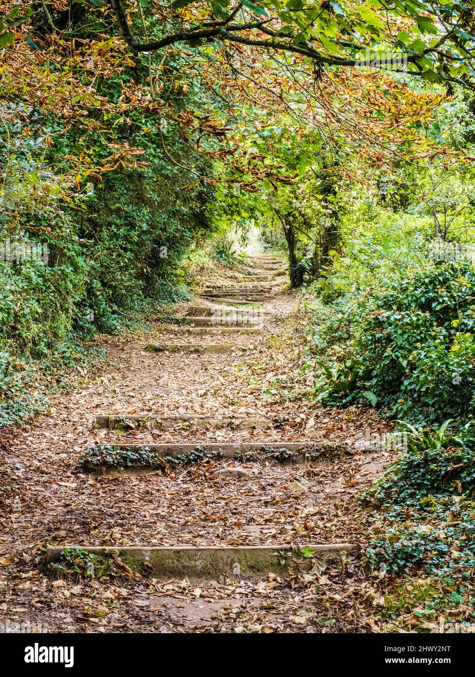 Parte del South West Coast Path vicino a St. Mary's Bay, Brixham, Devon. Foto Stock