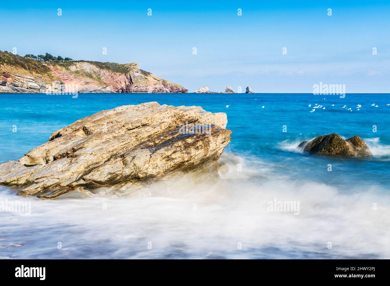 Vista da St. Mary's Bay verso Berry Head vicino a Brixham in Devon. Darl Rock, Mew Stone e Cod Rock sono appena al largo. Foto Stock