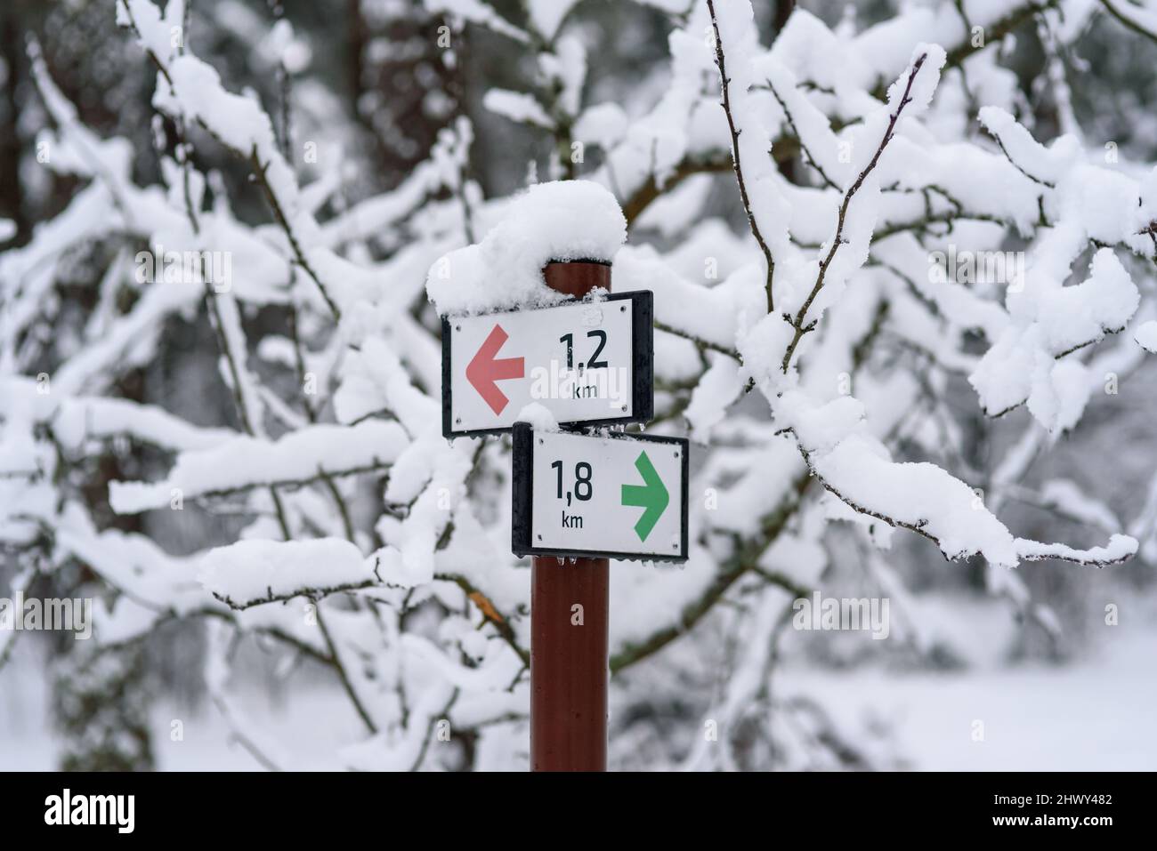 Sentiero segno nella foresta estone a Snowy giorno d'inverno Foto Stock