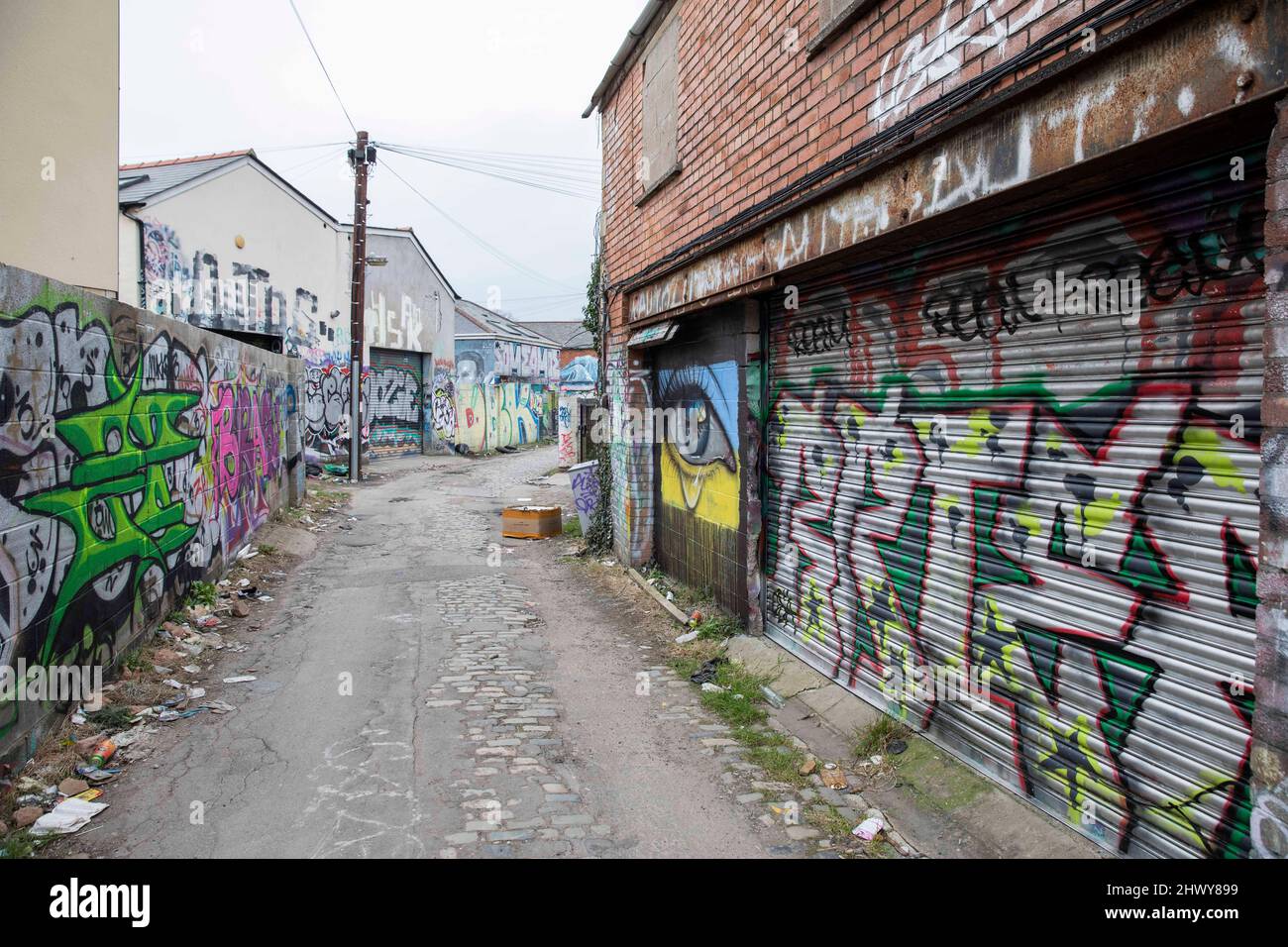 Backstreet di Cardiff, Northcote Lane, con opere d'arte di strada tra cui l'acclamato occhio piangente ucraino di My Dog Sosphs, marzo 2022. Foto Stock