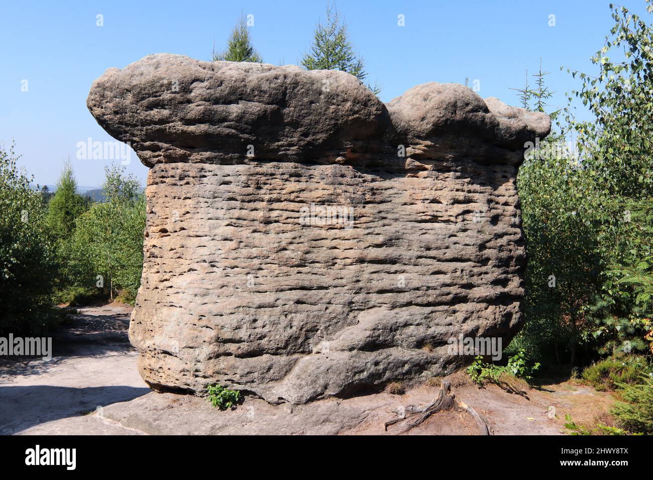 Funghi di pietra - formazione di roccia nelle pareti di Broumov (steny di Broumovske), catena montuosa e riserva naturale, parte delle montagne della tabella nella Repubblica Ceca Foto Stock