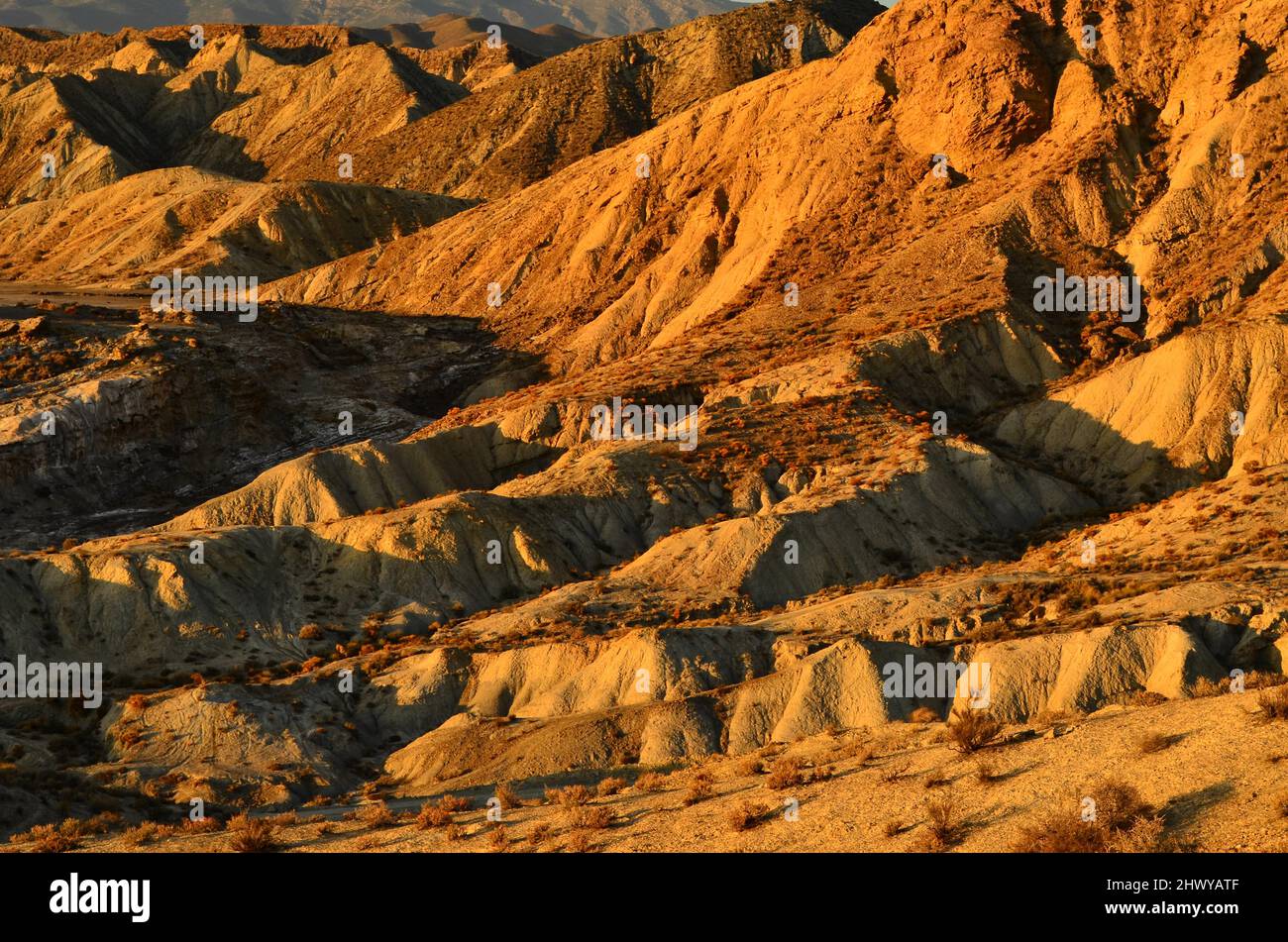 Badlands di Tabernas deserto, uno dei veri semi-deserti d'Europa situato in Almeria Spagna meridionale. Foto Stock