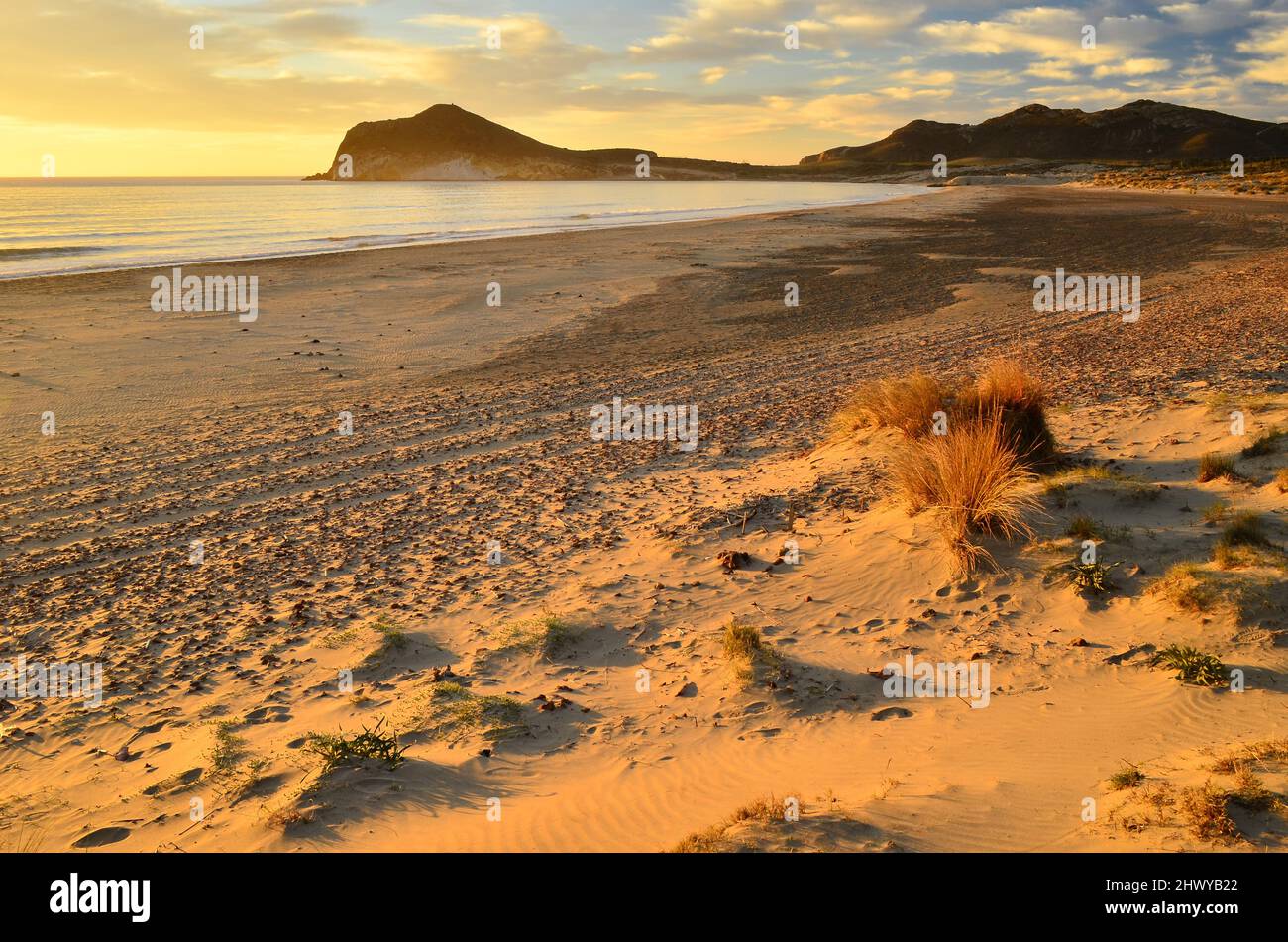 Dune di sabbia erbosa al mattino, Playa de los Genoveses spiaggia nel parco naturale Cabo de Gata Nijar, Almeria Spagna. Foto Stock