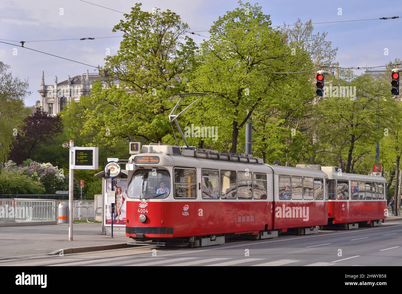Tram a Burgring, Innere Stadt (primo distretto) di Vienna Austria. Foto Stock