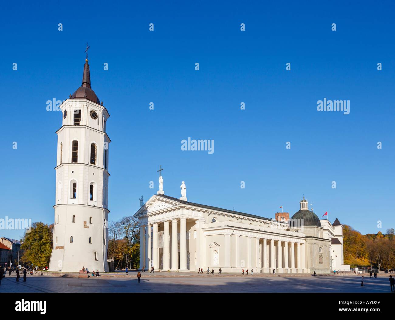 Cattedrale Basilica di San Stanislao e San Ladislao di Vilnius e Campanile di Gediminas, Piazza della Cattedrale, Città Vecchia, Vilnius, capitale della Lituania Foto Stock