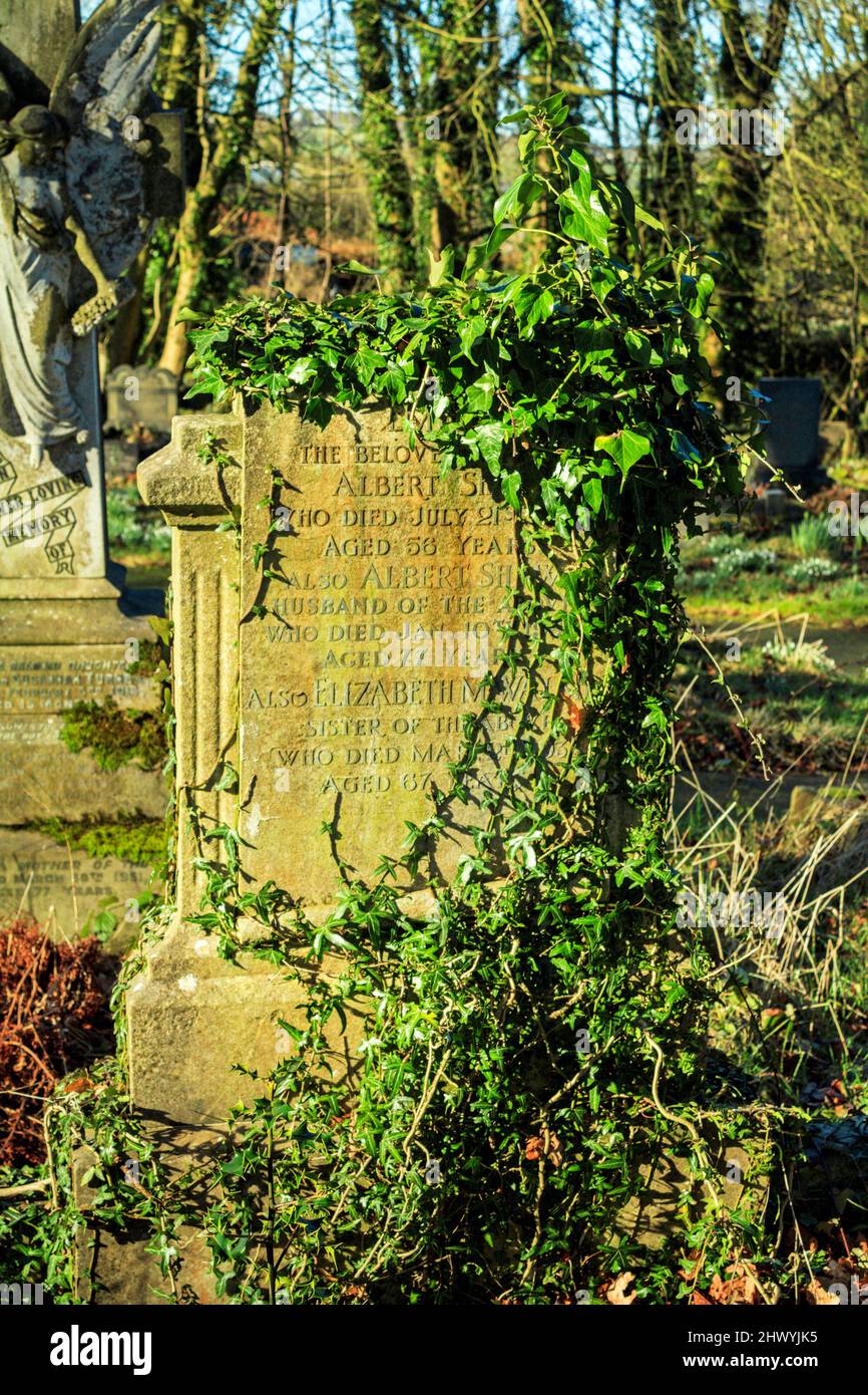 Lapide ricoperti di edera. Chiesa di Santo Stefano. Tockholes, Lancashire. Foto Stock