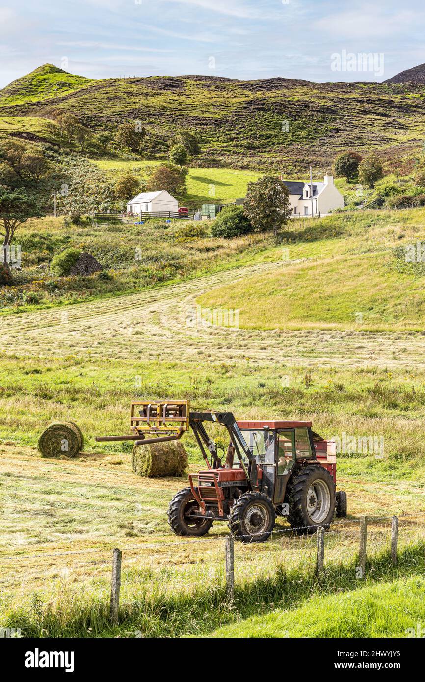 Haymaking al villaggio di Digg nel nord dell'isola di Skye, Highland, Scozia Regno Unito. Foto Stock