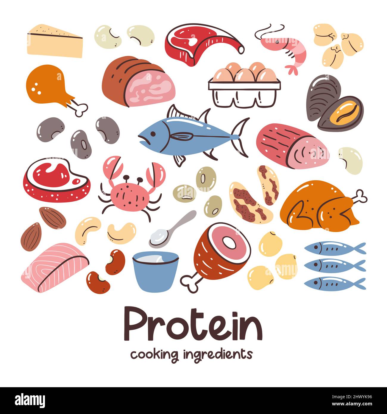 Alimenti con alto contenuto proteico. Raccolta di ingredienti per la cottura. Carne, frutti di mare, legumi, noci. Dieta sana ed equilibrata. Illustrazione Vettoriale