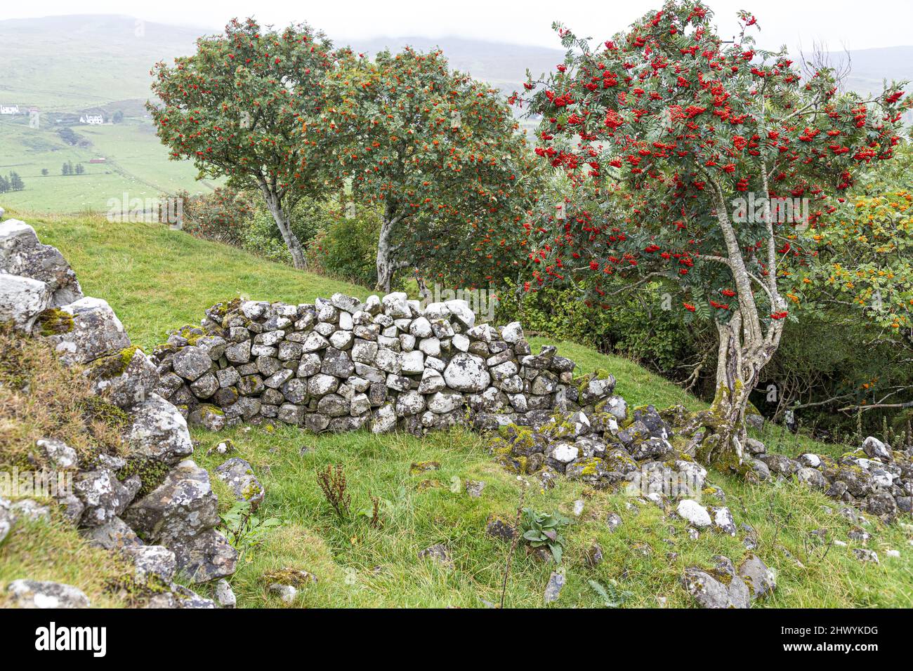 Le rovine di un croft a Glen Uig nel nord dell'isola di Skye, Highland, Scozia Regno Unito. Foto Stock