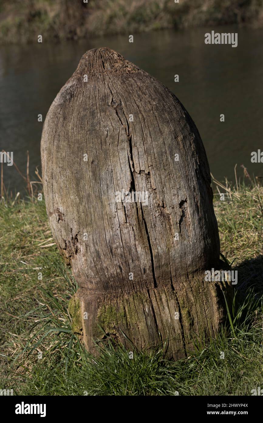 Wooden Sculpture towpath River stort Harlow Essex Foto Stock