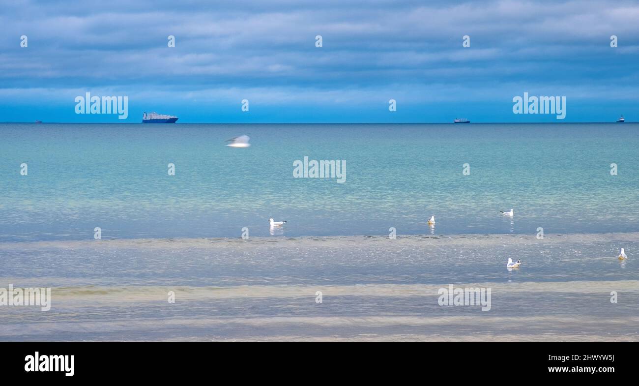 Vista panoramica invernale del Mar Baltico con gabbiani sull'acqua e navi sull'orizzonte marittimo al largo di Gdynia Orlowo nella regione della Pomerania in Polonia Foto Stock