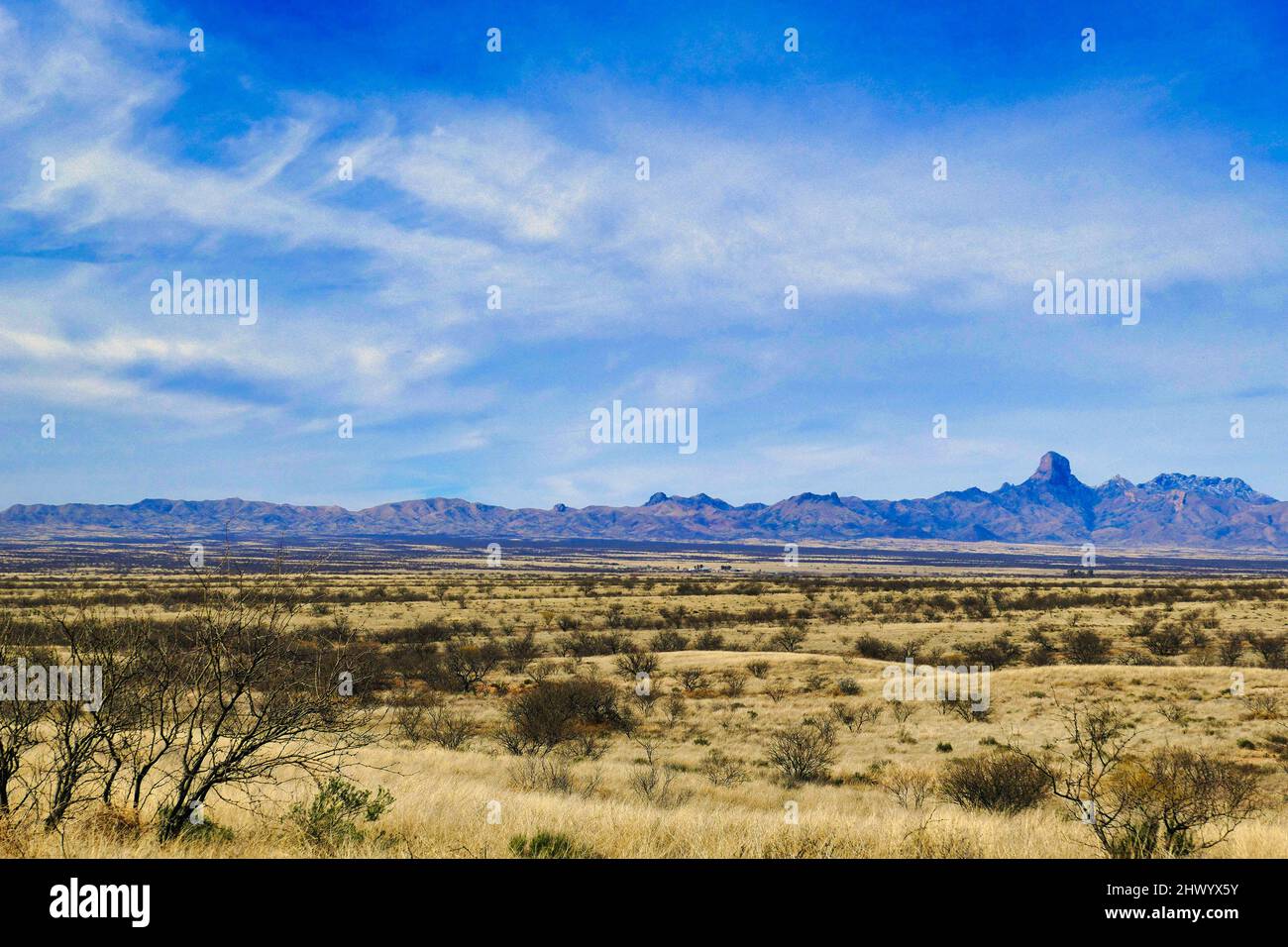 La prateria del deserto di sonora del Buenos Aires National Wildlife Refuge, Arizona, USA. I Monti Baboquivari e il picco Baboquivari sullo sfondo Foto Stock