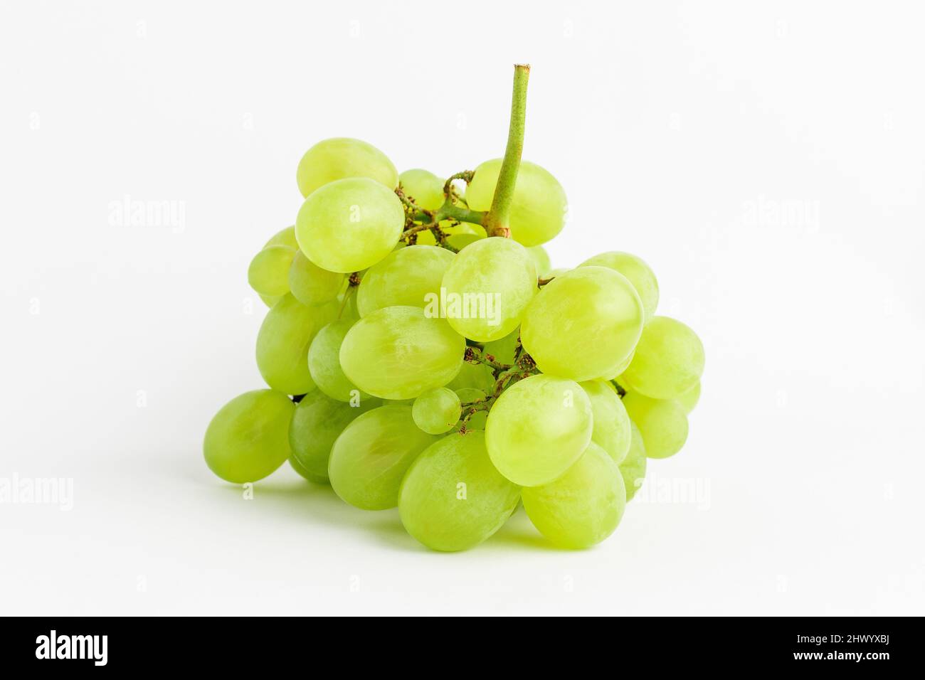 Un mazzo di uve bianche biologiche mature isolate su sfondo bianco, vista laterale Foto Stock